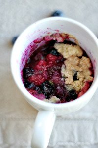 Single Serve Blueberry Mug Muffin