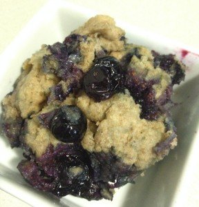 Sugar free Blueberry Muffin